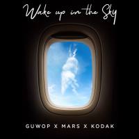 Wake Up in the Sky 